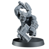 Brawla Boys x7 - Version 1