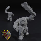 Broozer Shock Troopas x5 - N