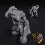 Goblin Crew x5 - H