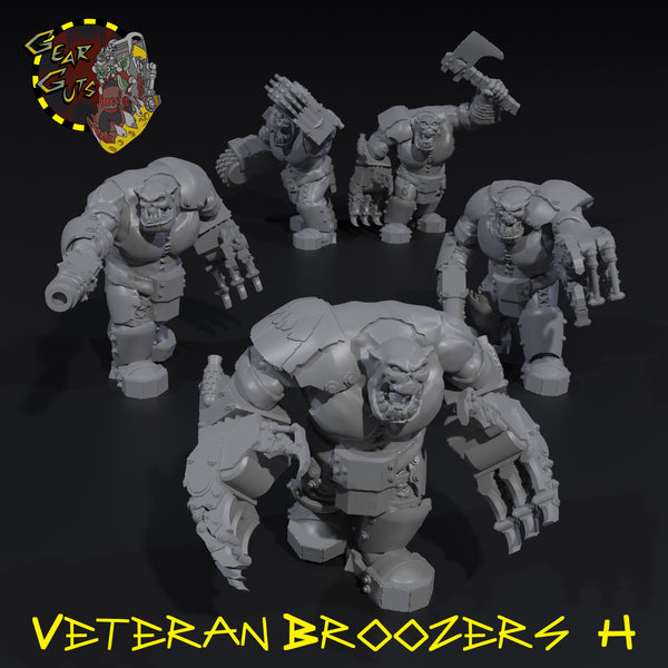 Veteran Broozers x5 - H