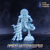 Amira Watchkeeper