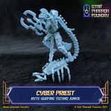 Cyber Priest
