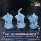 Medjay Pharaohguards with Hexphase Khopeshes and Repulsor Shields x5