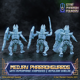 Medjay Pharaohguards with Hexphase Khopeshes and Repulsor Shields x5