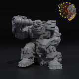 Pirate Veterans x5 - B