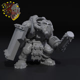 Broozer Guard Shield Broots x3 - A