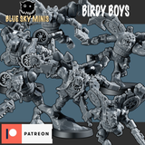 Birdy Boys x6
