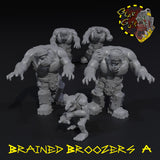 Brained Broozers x5 - A