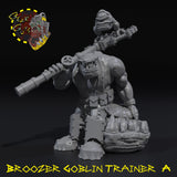 Broozer Goblin Trainer - A - STL Download