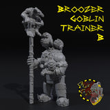 Broozer Goblin Trainer - B - STL Download