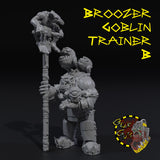 Broozer Goblin Trainer - B