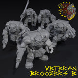 Veteran Broozers x5 - E