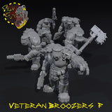 Veteran Broozers x5 - F - STL Download