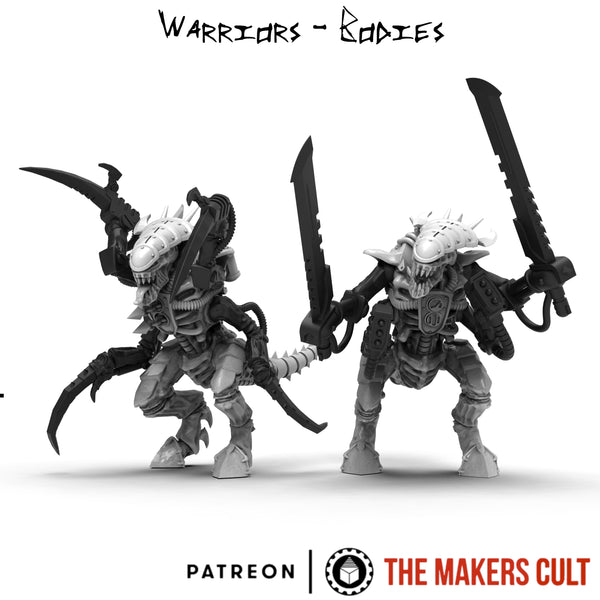 Warrior Bodies x3